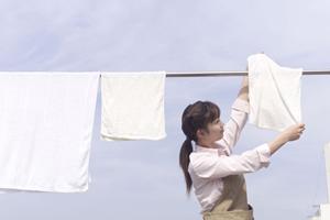 ネット注文で早く確実に仕上がる印刷専門サイト